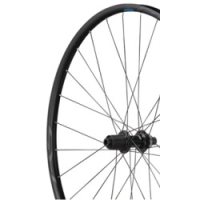 Shimano Road Vorderrad WH-RS171 700C 12mm OLD 100mm Pneu Center Lock schwarz