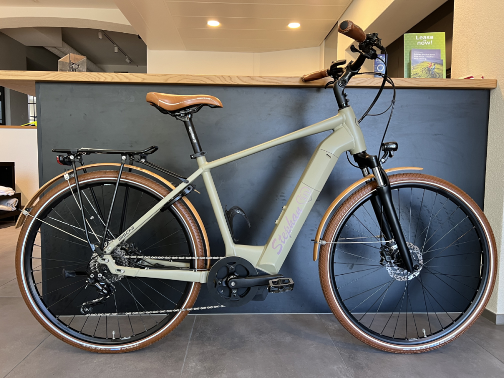bischibikes Roma E-Bike, Olivegrün in Matt, 48cm