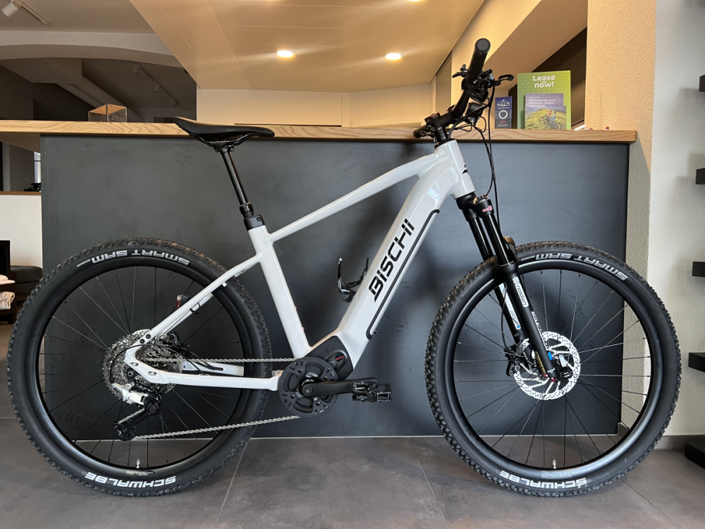 bischibikes Rio, Stone Glanz, 42cm