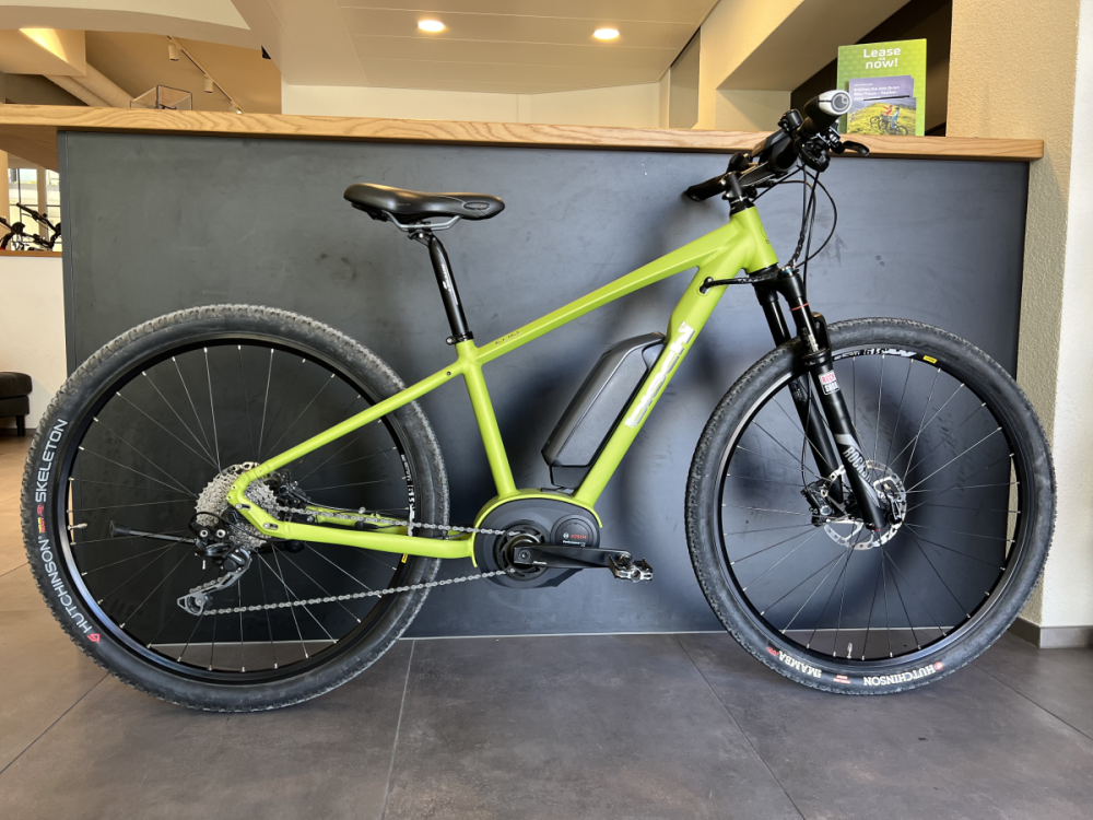 bischibikes Rio Hardtail, grün Matt