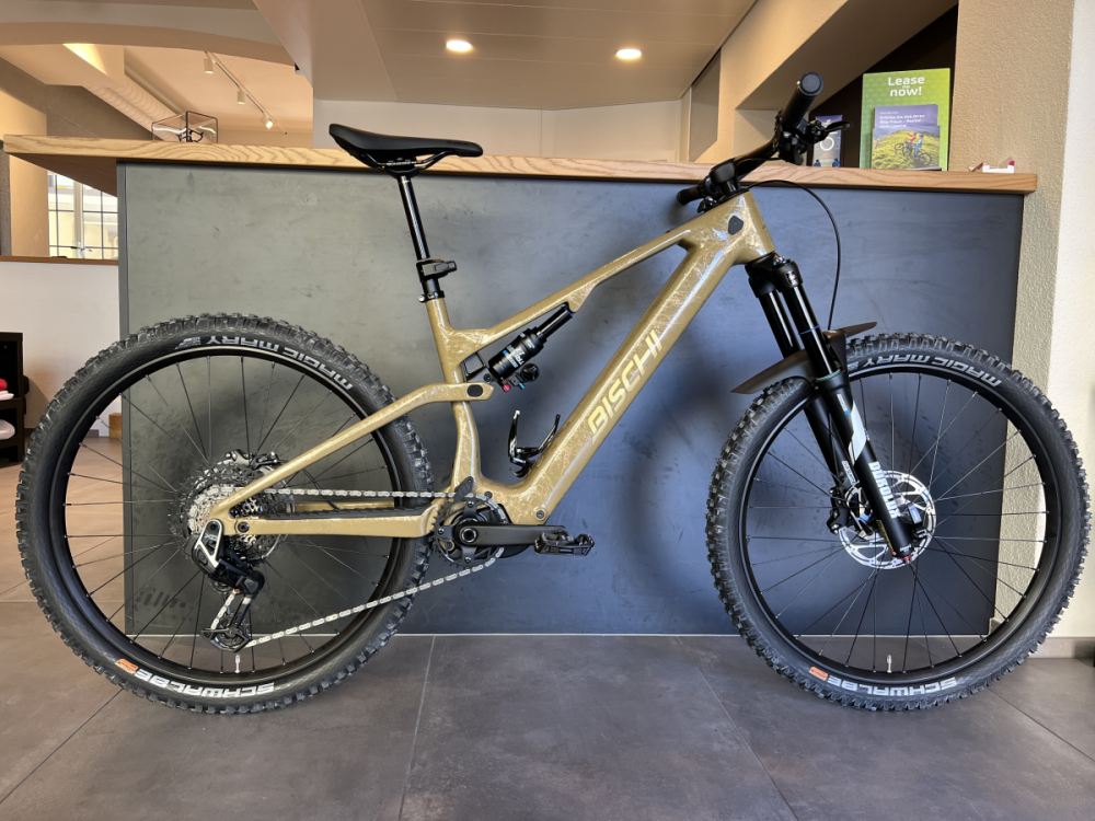 bischibikes Los Angeles Carbonfully, pistazie mit gold marble in Glanz